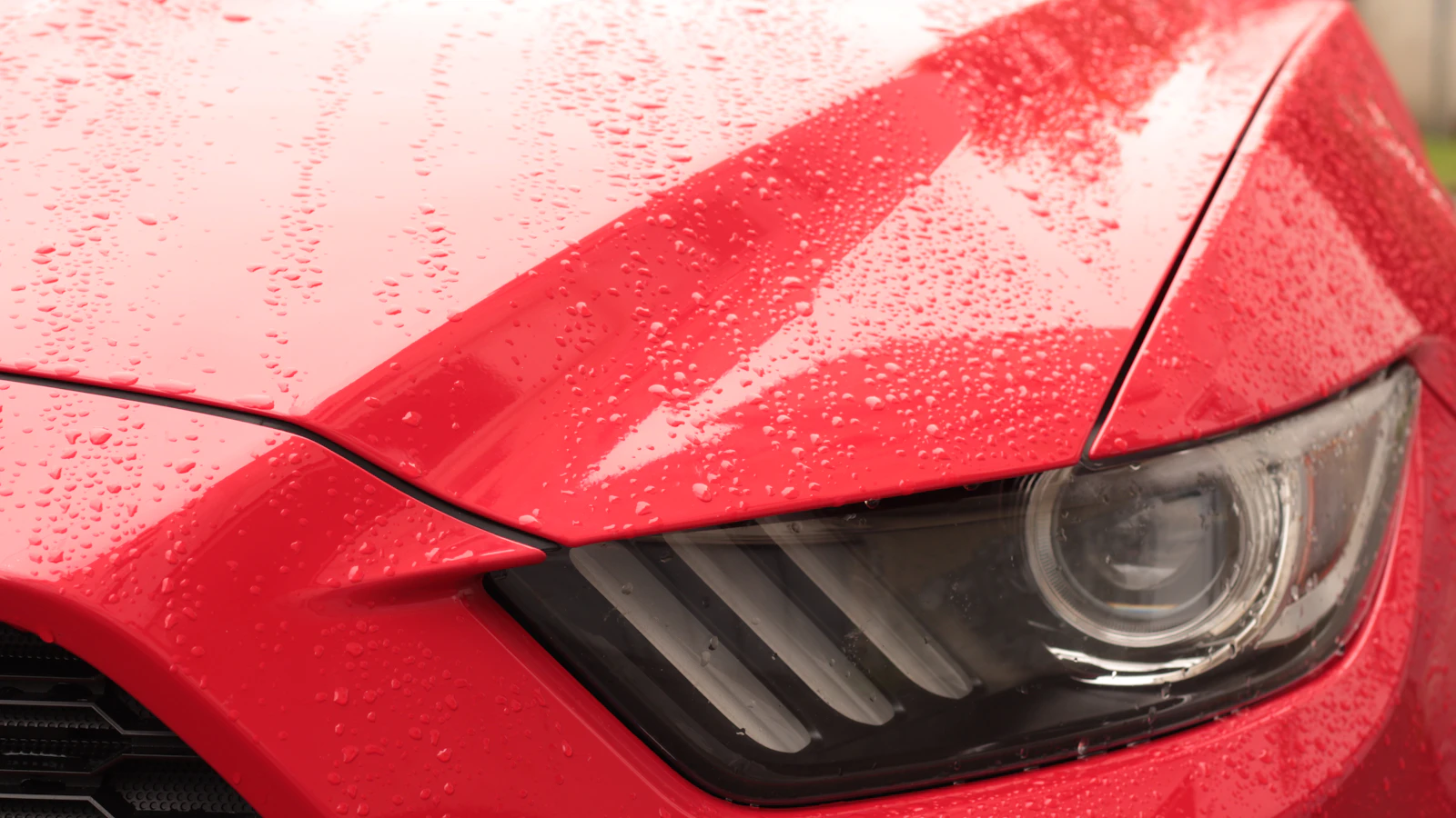 Water droplets on a red vehicle hood and the surrounding headlight panel.