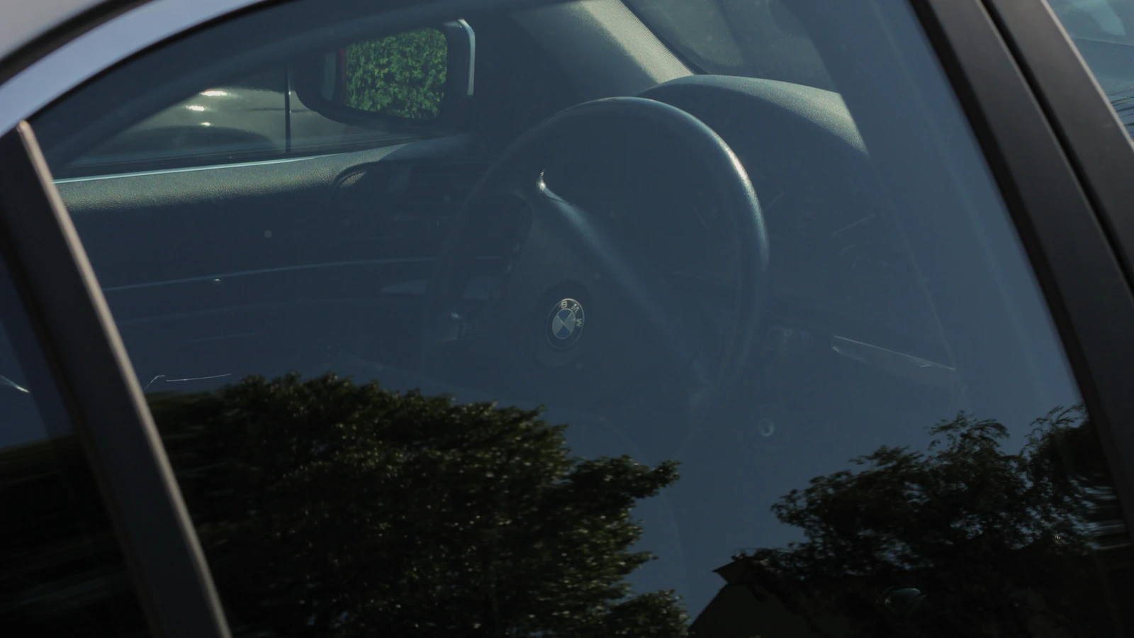 Reflections of trees across the side window of a parked vehicle.