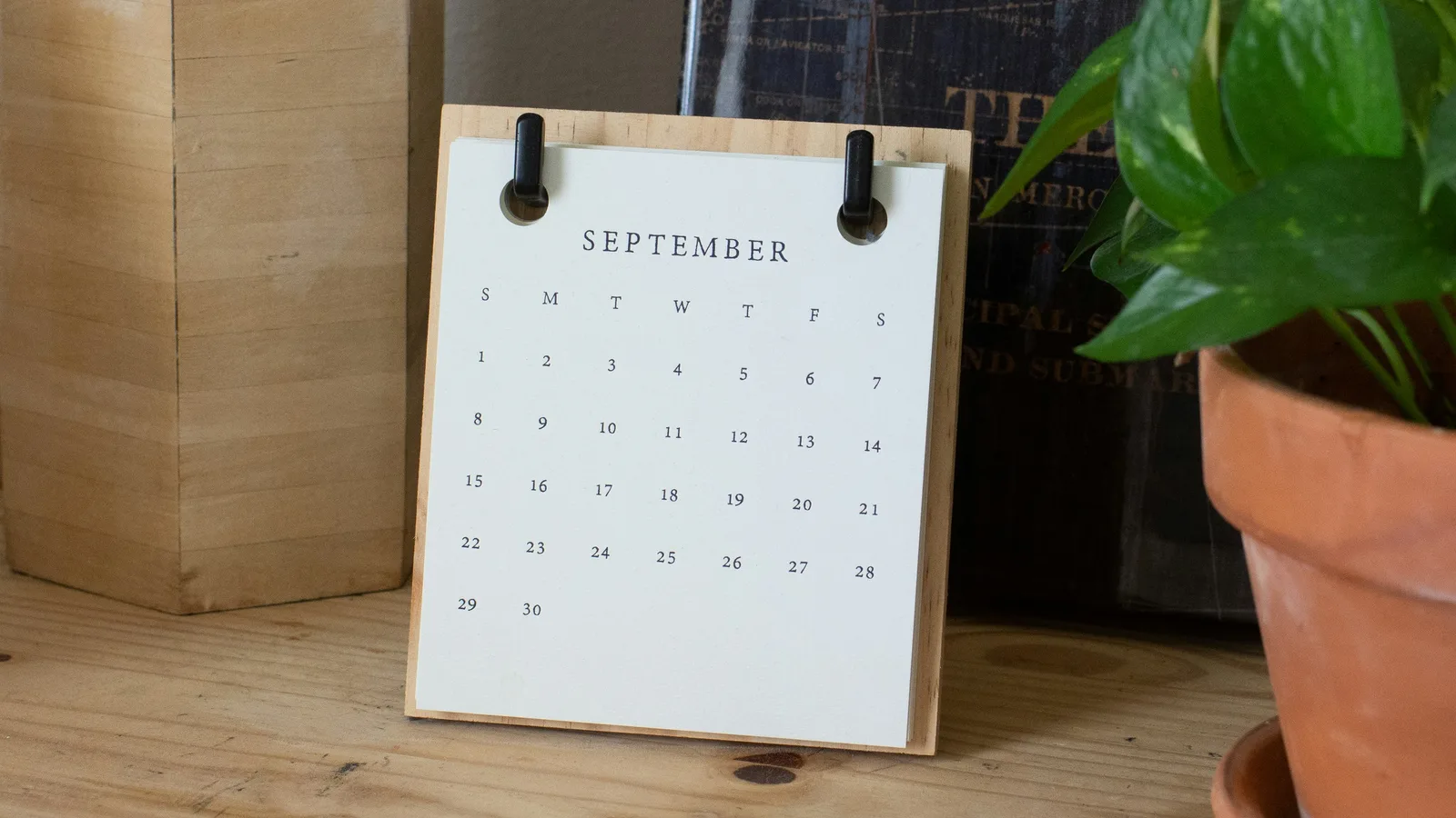 Standing monthly calendar beside a potted plant on a wooden surface.