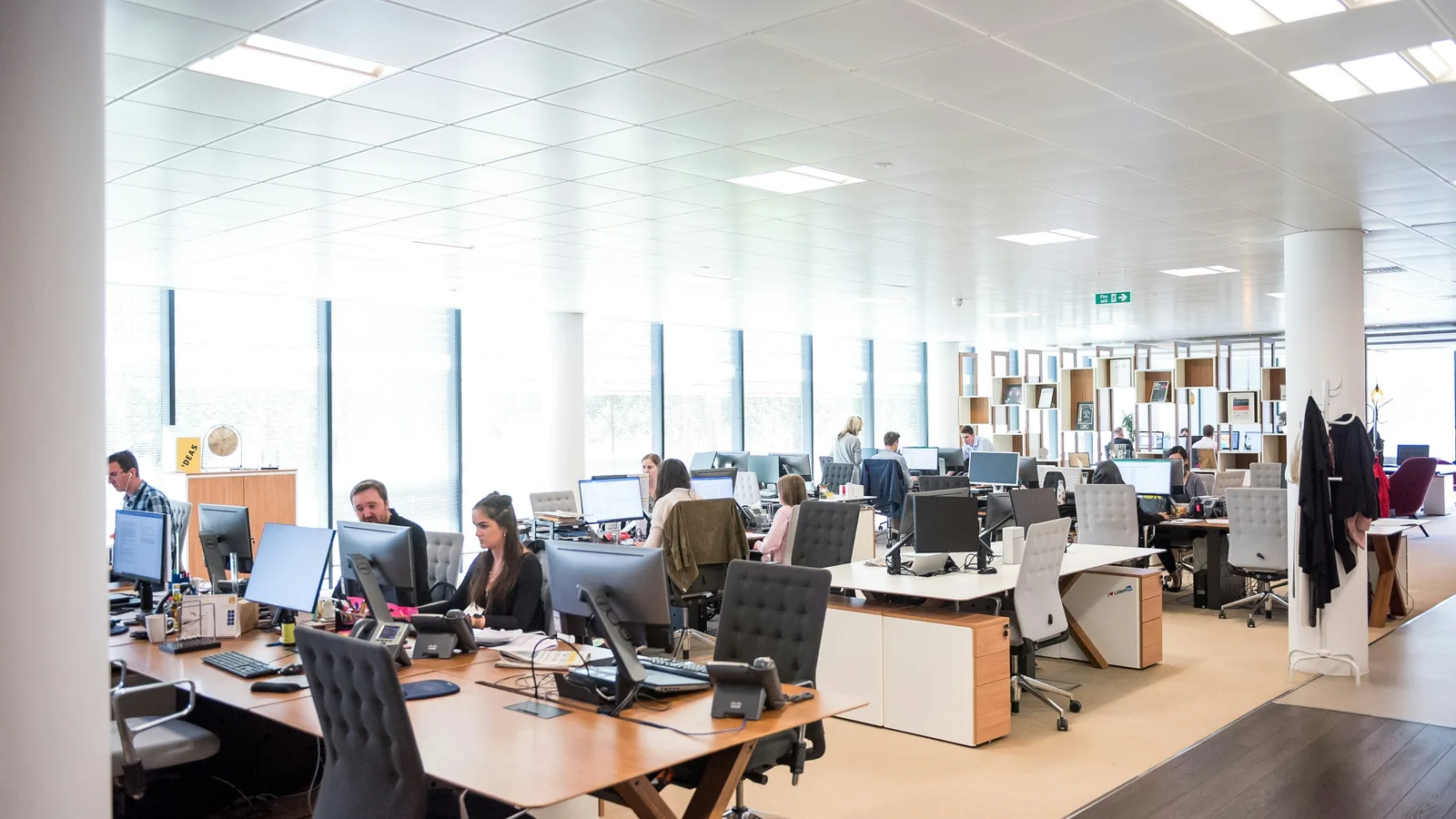 People working at desks in open office.