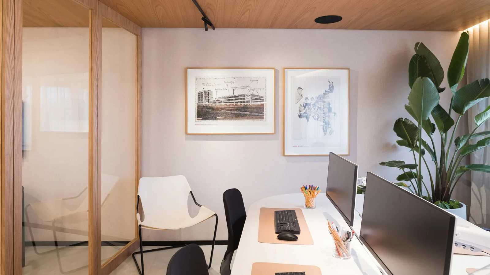Modern office with computers and plants.