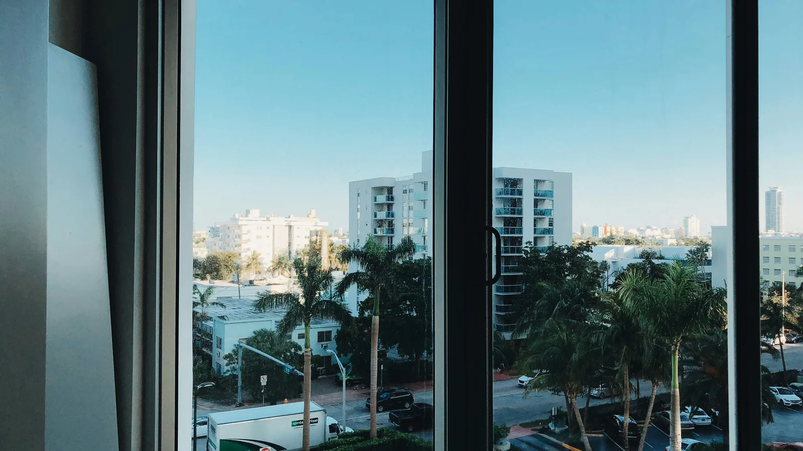 A view of a city street with palm trees through a window.